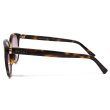 画像3: GUCCI グッチ GG0461SA-003 サングラス アジアンフィット メンズ レディース (3)