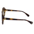 画像3: GUCCI グッチ GG0950SA-002 サングラス アジアンフィット メンズ レディース ユニセックス (3)