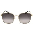 画像2: GUCCI グッチ GG1146SK-001 サングラス アジアンフィット メンズ レディース ユニセックス (2)