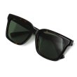 画像8: GUCCI グッチ GG1175SK-004 サングラス EYEWEAR アジアンフィット メンズ レディース ユニセックス (8)