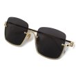 画像8: GUCCI グッチ GG1279S-001 サングラス EYEWEAR ノーズパット メンズ レディース ユニセックス (8)
