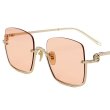 画像7: GUCCI グッチ GG1279S-005 サングラス EYEWEAR ノーズパット メンズ レディース ユニセックス (7)