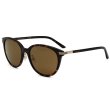 画像1: GUCCI グッチ GG1452SK-002 サングラス アジアンフィット メンズ レディース ユニセックス (1)