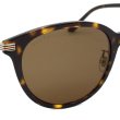 画像4: GUCCI グッチ GG1452SK-002 サングラス アジアンフィット メンズ レディース ユニセックス (4)