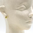 画像5: MICHAEL KORS マイケルコース MKC1599AA710 ピアス レディース (5)