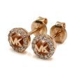 画像1: MICHAEL KORS マイケルコース MKC1727CZ791 ピアス レディース (1)