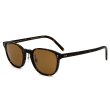 画像1: OLIVER PEOPLES オリバーピープルズ 0OV5219SM 100953 49 FAIRMONT SUN-F サングラス ノーズパッド eyewear アイウエア メンズ レディース ユニセックス (1)