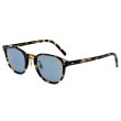 画像1: OLIVER PEOPLES オリバーピープルズ 0OV5219SM 140756 49 FAIRMONT SUN-F サングラス ノーズパッド メンズ レディース ユニセックス (1)