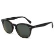 画像1: OLIVER PEOPLES オリバーピープルズ OV5454SU 1722P2 50 サングラス eyewear アイウエア メンズ レディース ユニセックス (1)