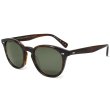 画像1: OLIVER PEOPLES オリバーピープルズ OV5454SU 1724P1 50 サングラス eyewear アイウエア メンズ レディース ユニセックス (1)