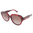 画像1: Salvatore Ferragamo サルヴァトーレ フェラガモ SF906SA-645 サングラス レディース (1)