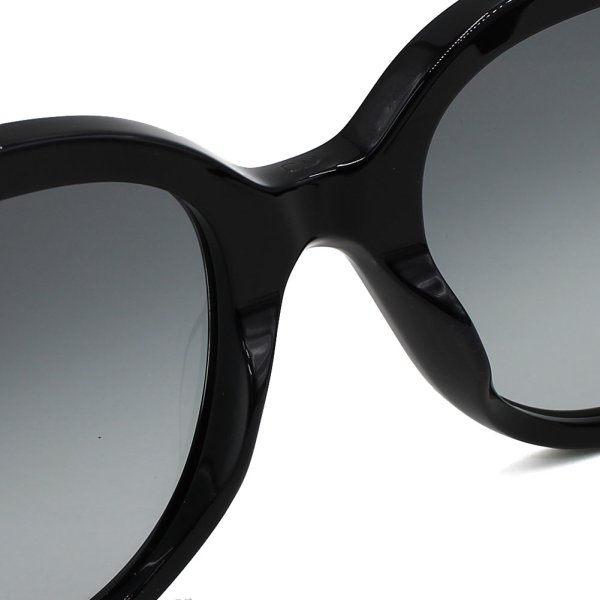 画像6: Dior ディオール WILDIOR-BU-10A1-54 サングラス アイウェア アジアンフィット レディース (6)