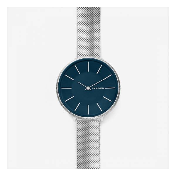 スカーゲン SKAGEN KAROLINA SKW2725 レディース 腕時計